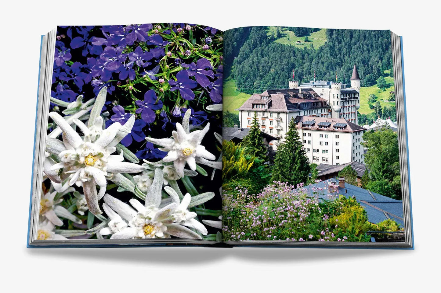 Travel Book Gstaad Glam