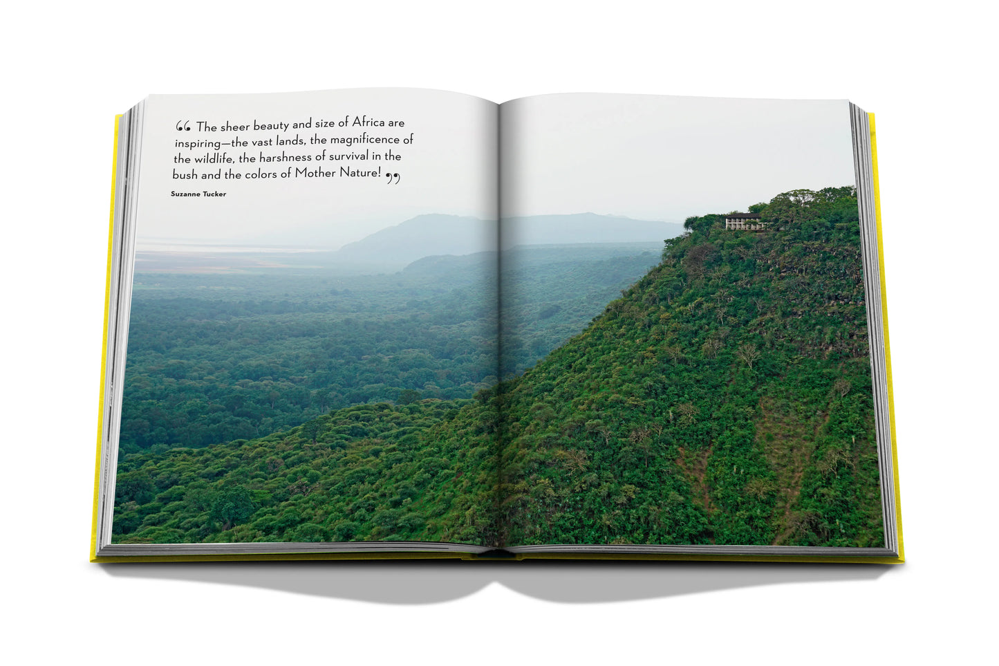 Bildband Travel by Design