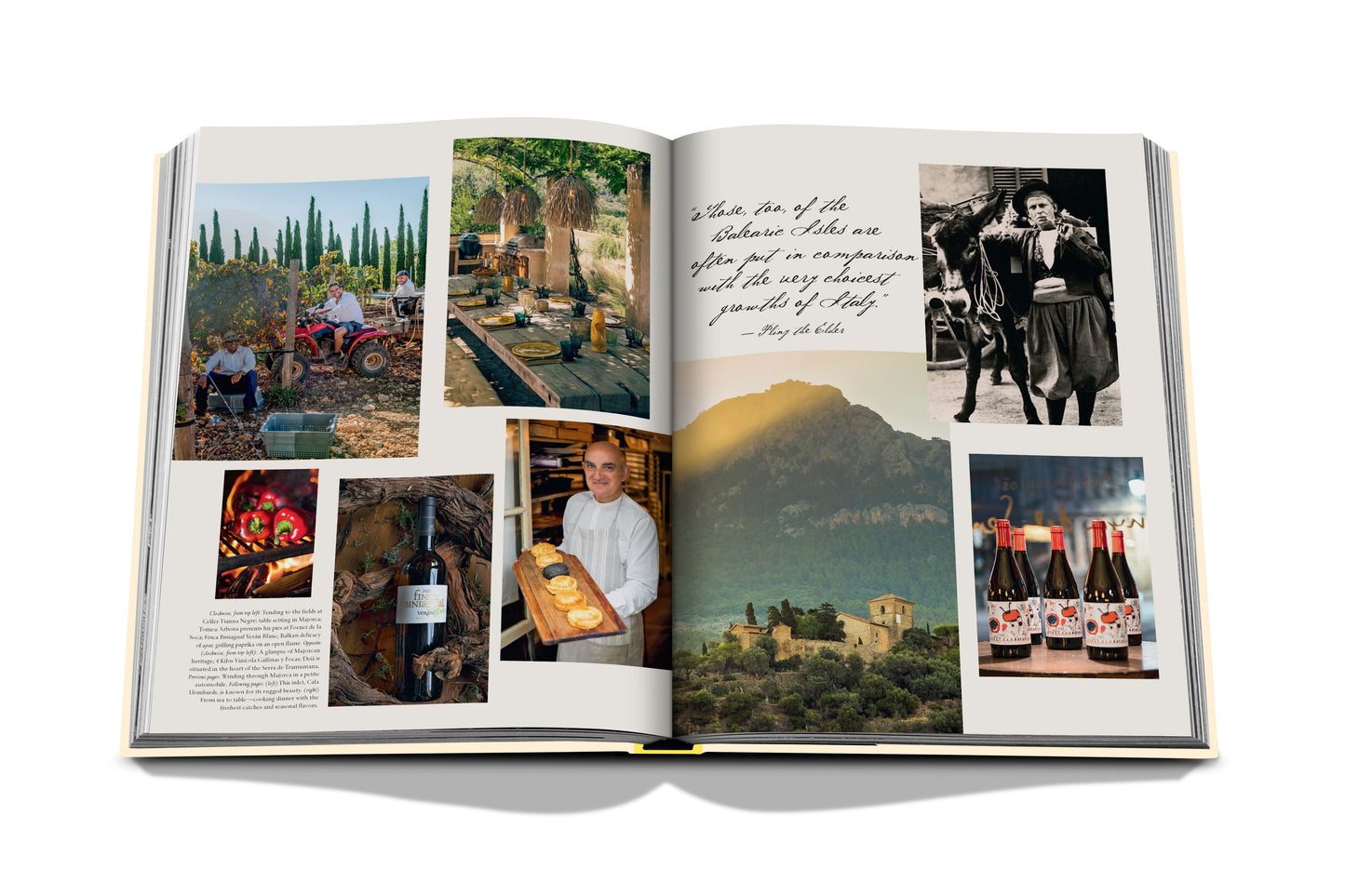 Bildband Wine & Travel Mediterranean Islands