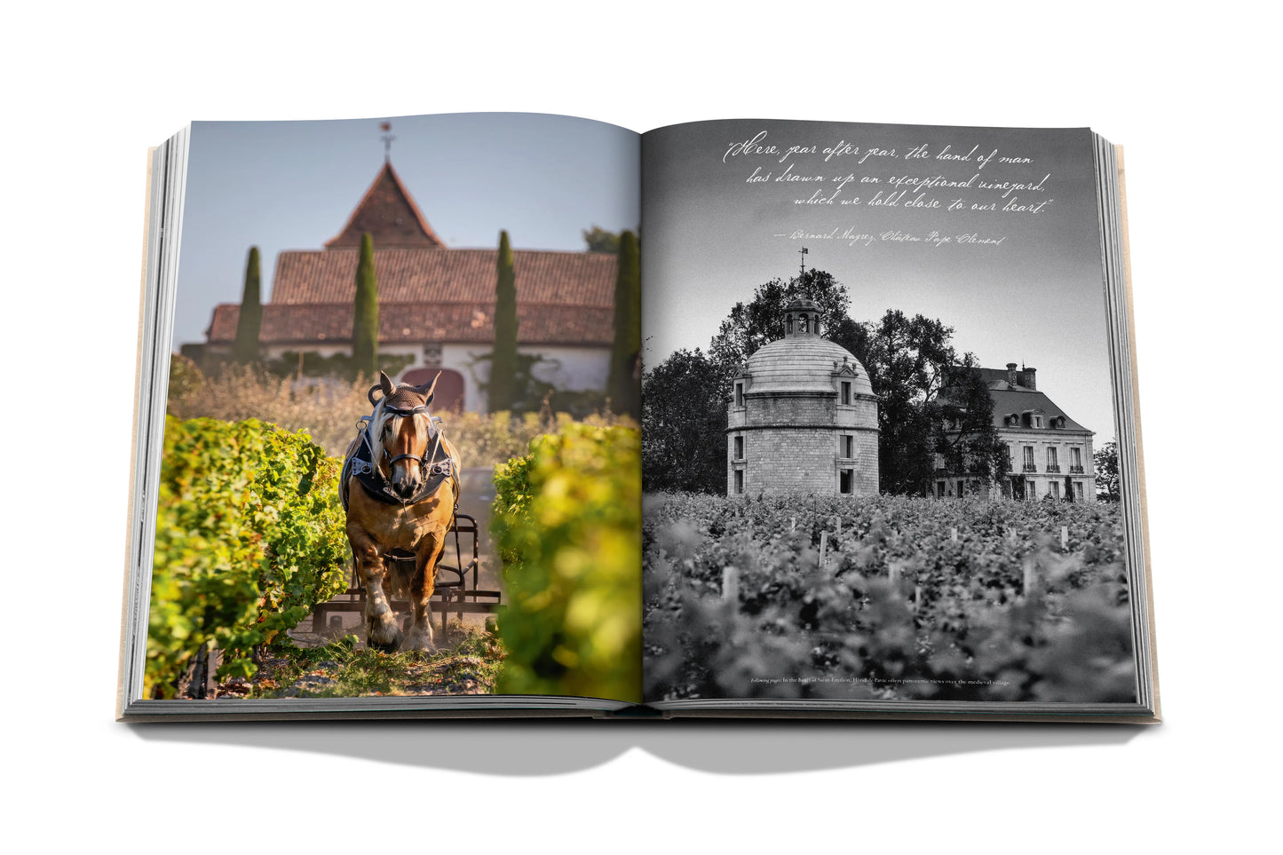 Bildband Wine & Travel France