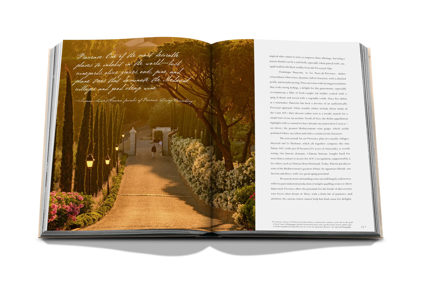 Bildband Wine & Travel France