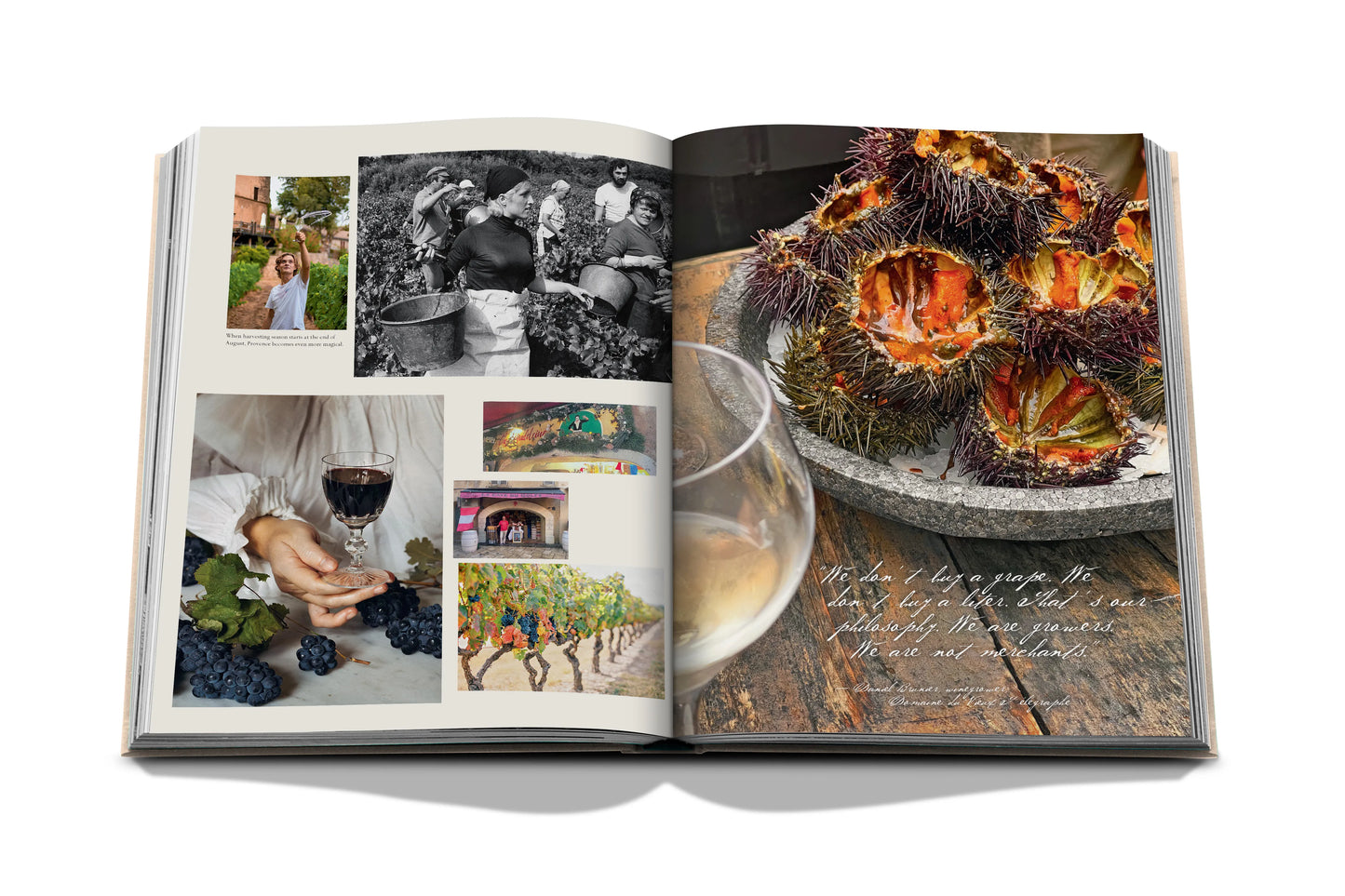 Bildband Wine & Travel France