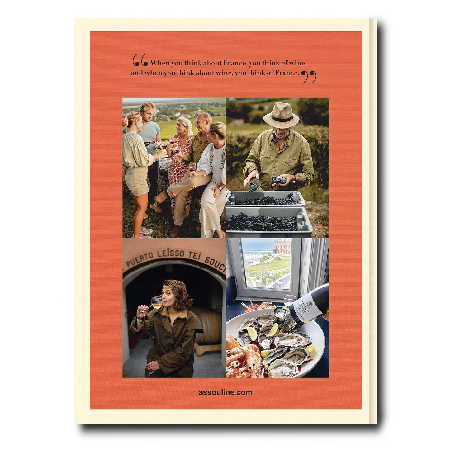 Bildband Wine & Travel France