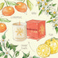 Candle ASSOULINE für Damen