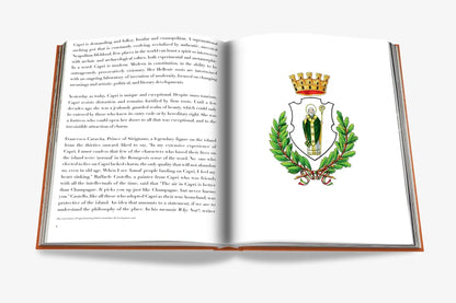Travel Book ASSOULINE für Damen